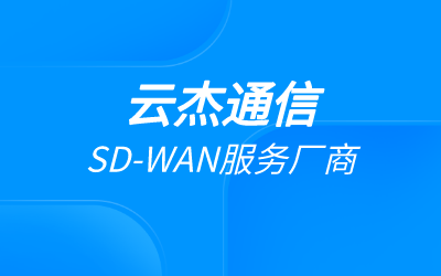 国内sdwan厂商排名